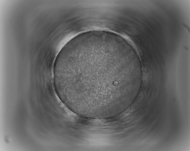 X0000101221287200807071338