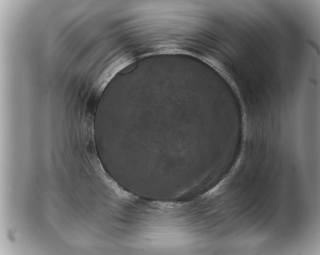 X0000101221289200807071338