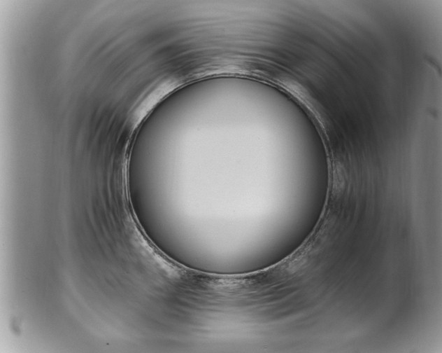 X0000101221290200807071338
