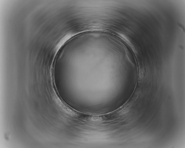 X0000101221291200807071338