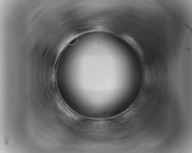 X0000101221292200807071338