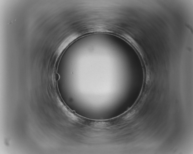 X0000101221293200807071338