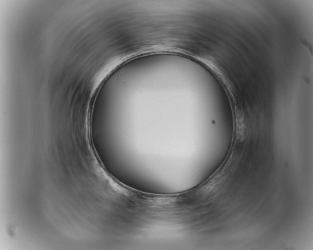 X0000101221294200807071338