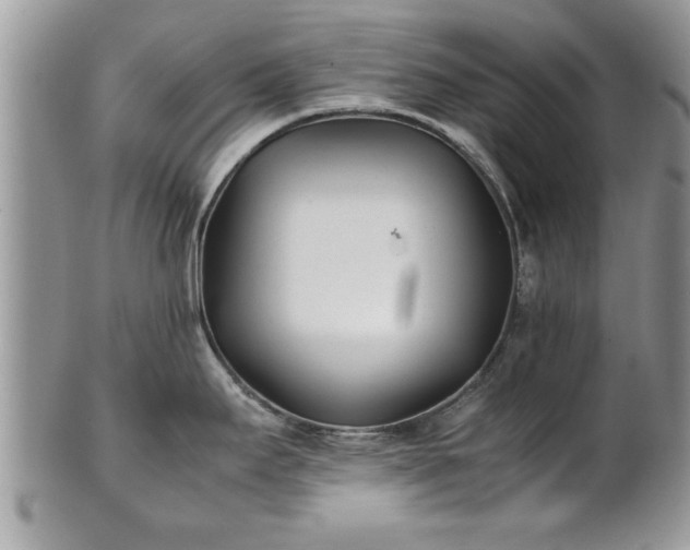 X0000101221295200807071338
