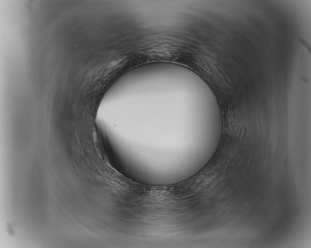 X0000101221297200807071338