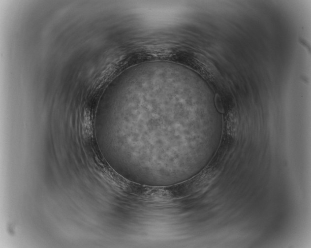 X0000101221298200807071338