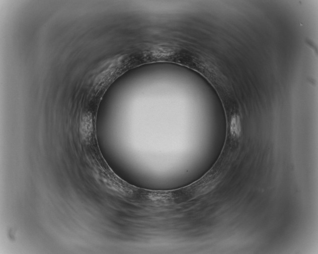 X0000101221299200807071338