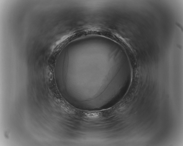 X0000101221303200807071338