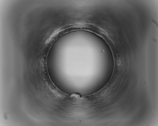 X0000101221304200807071338