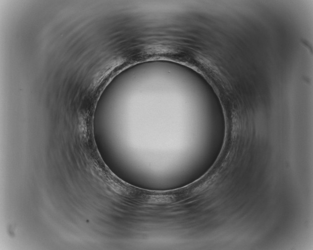 X0000101221305200807071338