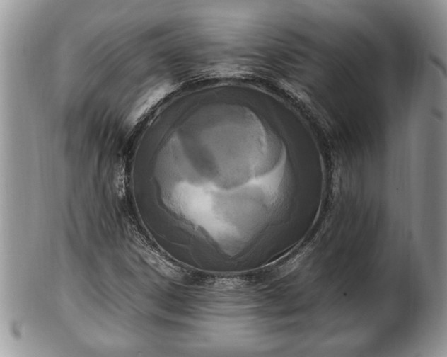 X0000101221306200807071338