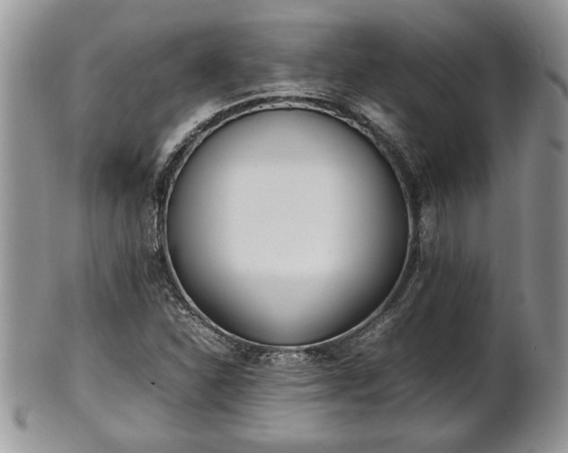 X0000101221310200807071338
