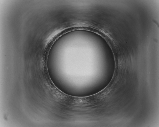 X0000101221311200807071338