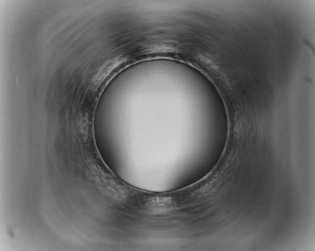 X0000101221313200807071338