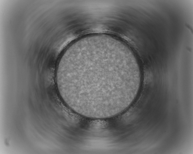 X0000101221314200807071338