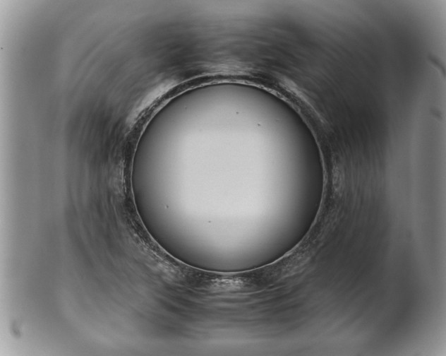 X0000101221315200807071338
