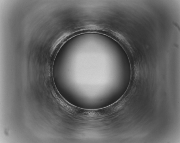X0000101221318200807071338