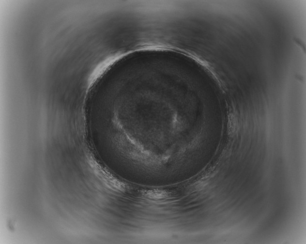 X0000101221319200807071338