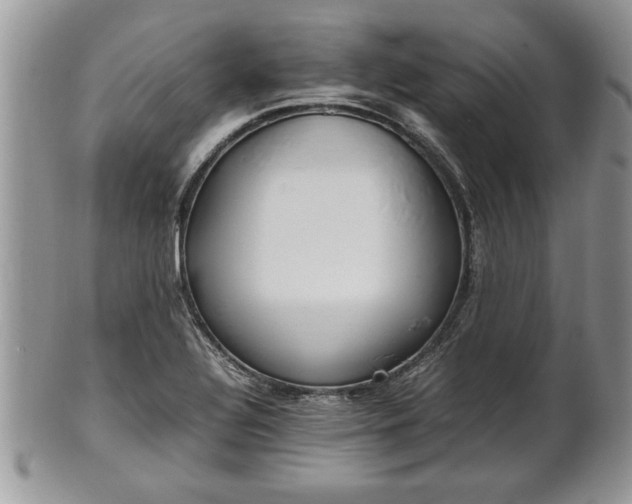 X0000101221320200807071338