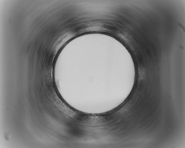 X0000101221322200807071338