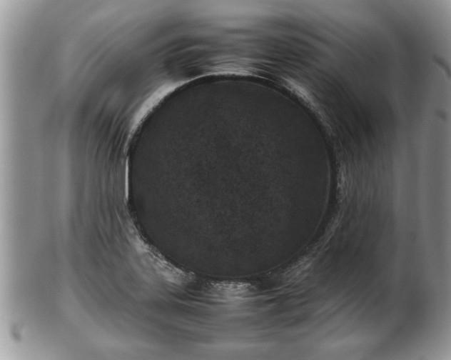 X0000101221323200807071338