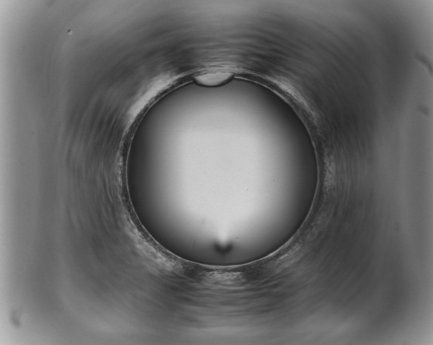 X0000101221325200807071338