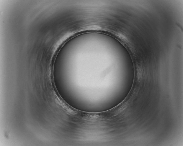 X0000101221326200807071338