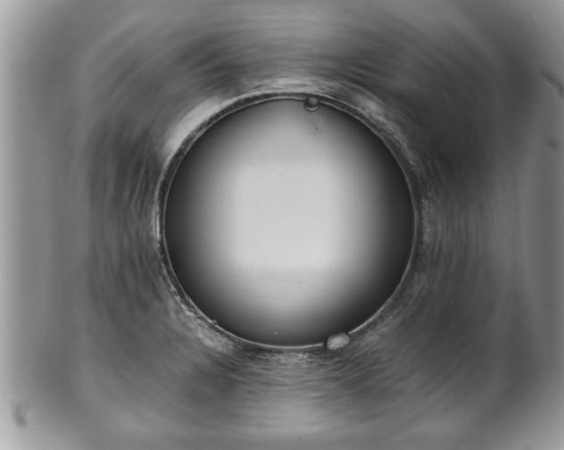X0000101221328200807071338