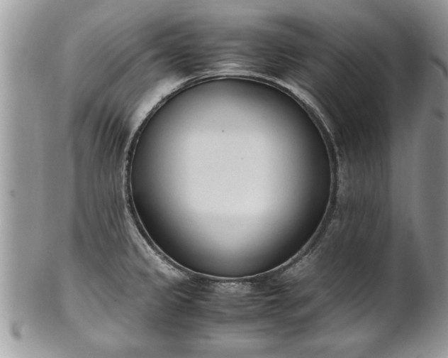 X0000101221333200807071338
