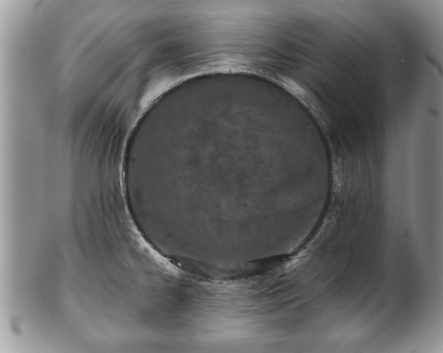 X0000101221334200807071338