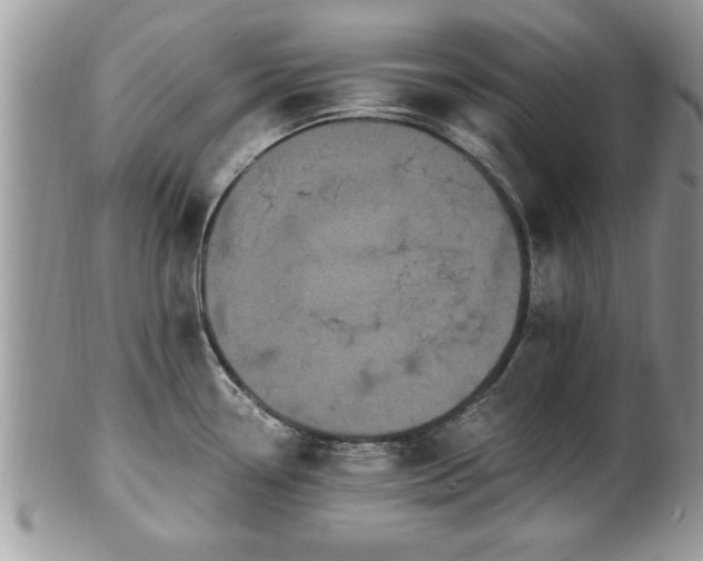 X0000101221338200807071338
