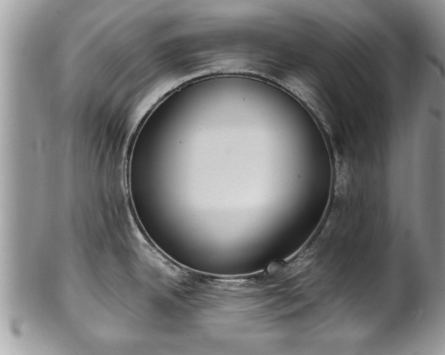 X0000101221342200807071338