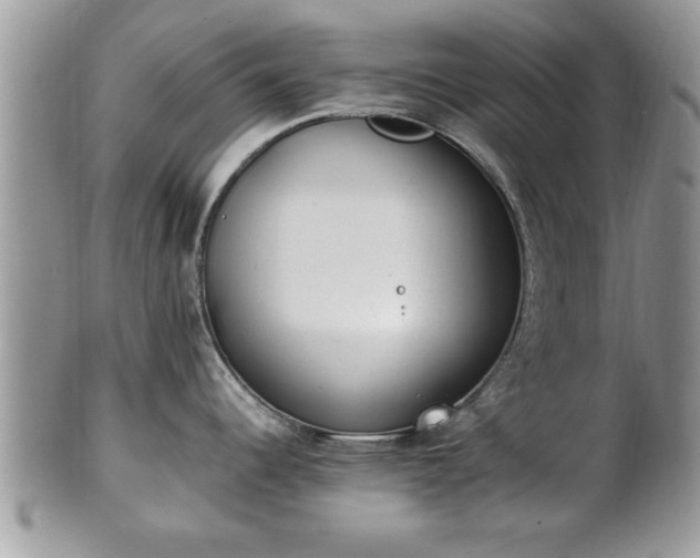 X0000101221344200807071338