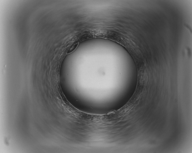 X0000101221345200807071338