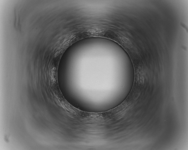 X0000101221346200807071338