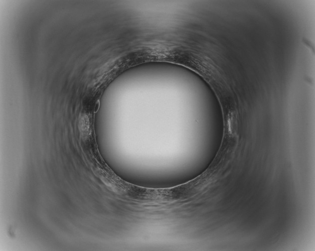 X0000101221347200807071338