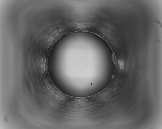 X0000101221348200807071338