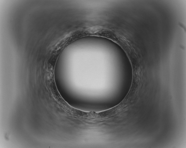 X0000101221349200807071338