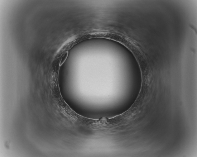X0000101221351200807071337