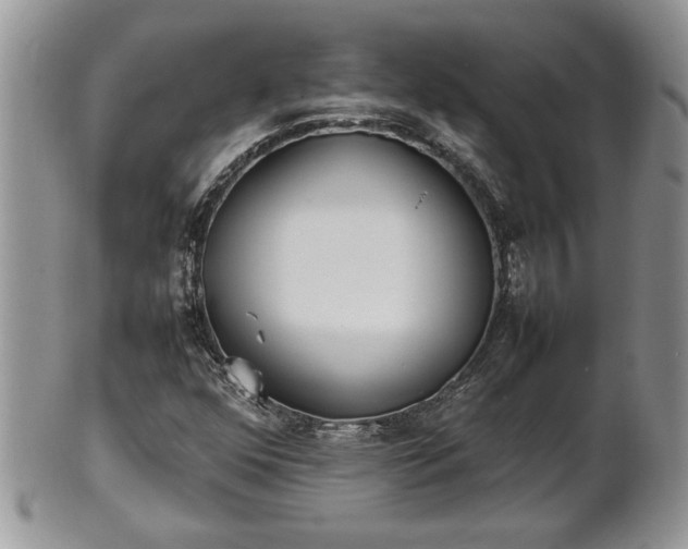 X0000101221352200807071337