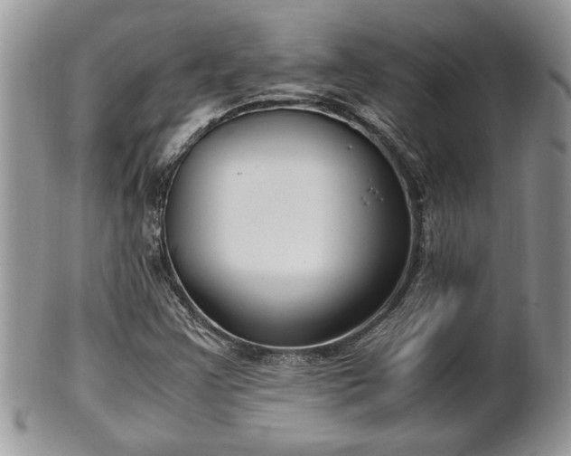 X0000101221355200807071337