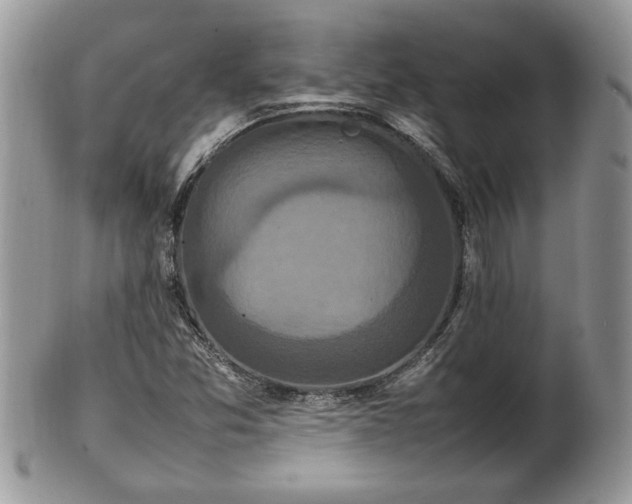 X0000101221357200807071337