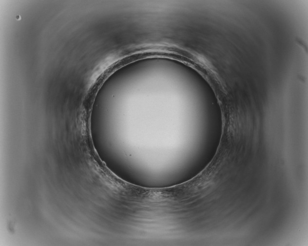 X0000101221360200807071337