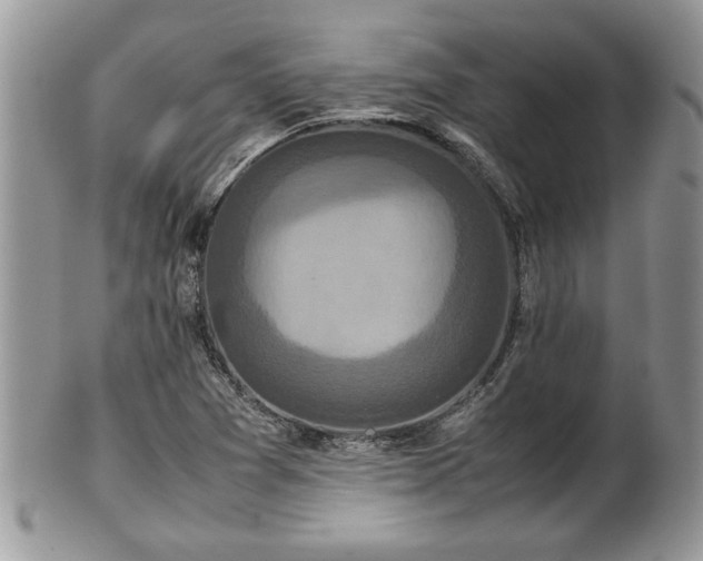 X0000101221361200807071337