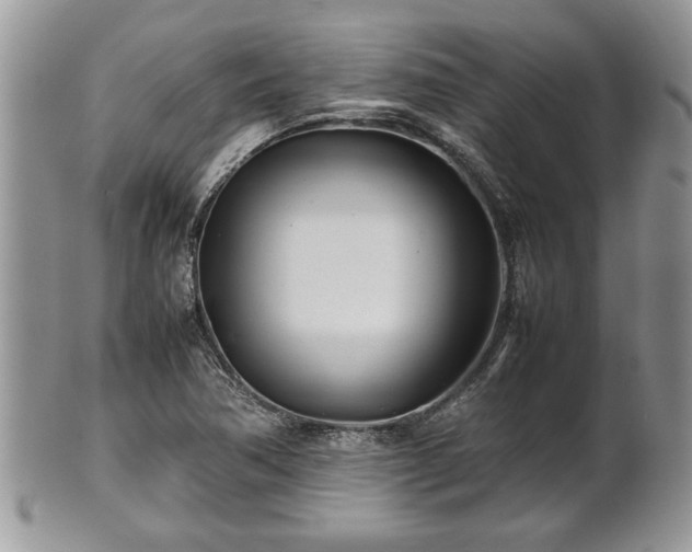 X0000101221362200807071337