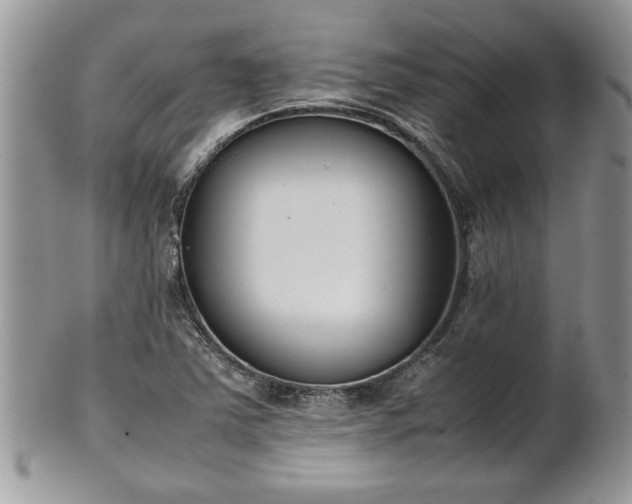 X0000101221363200807071337