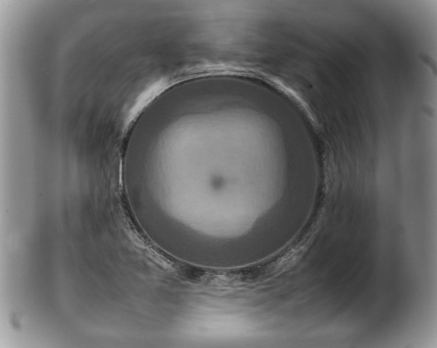 X0000101221365200807071337