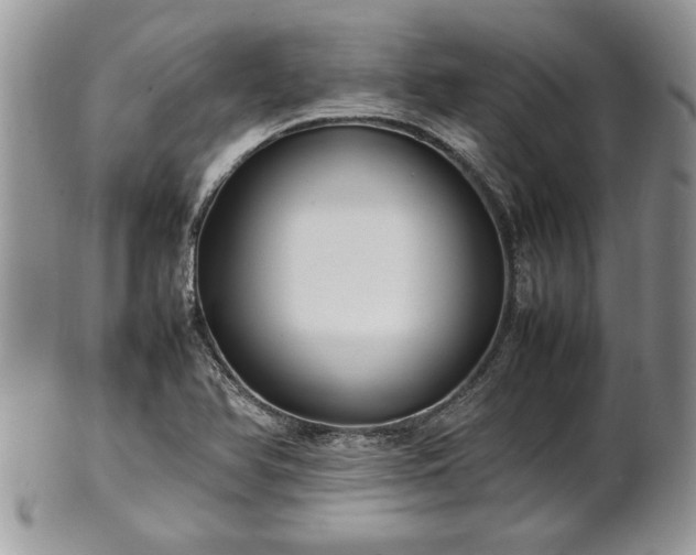 X0000101221366200807071337