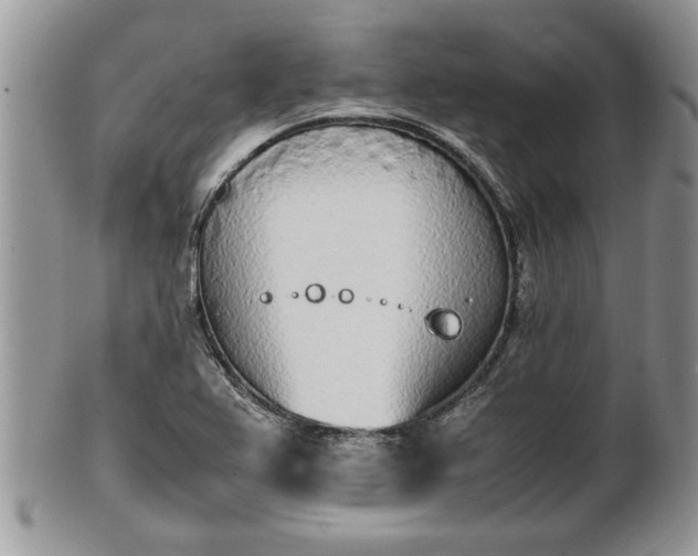 X0000101221367200807071337