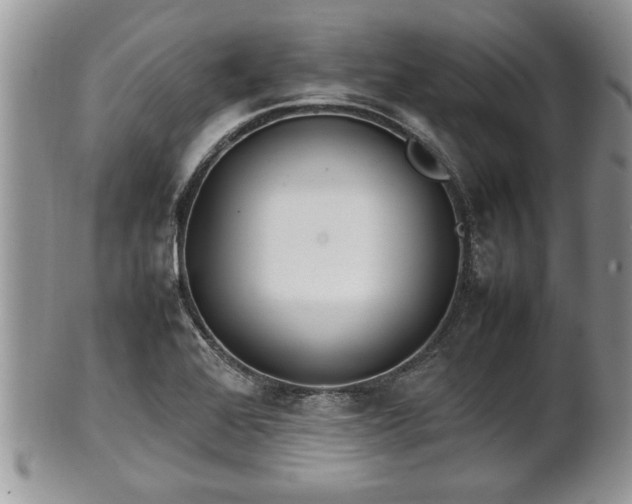X0000101221368200807071337